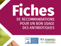 fiches-antibiotherapie-2022 fiches-antibiotherapie-2022
