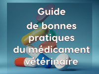 guide-bonnes-pratiques guide-bonnes-pratiques
